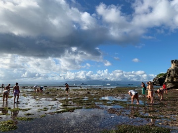 Tide Pooling on Mushroom Beach Nusa Lembongan